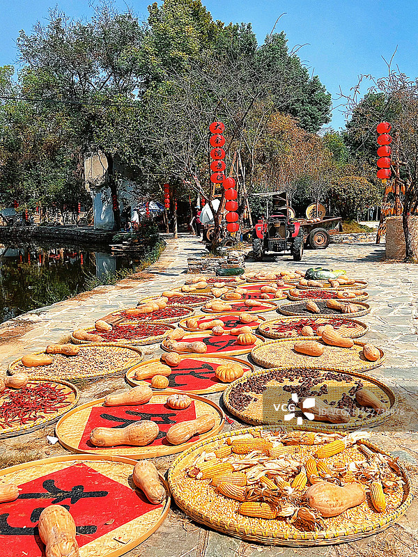 大余湾晒秋图片素材