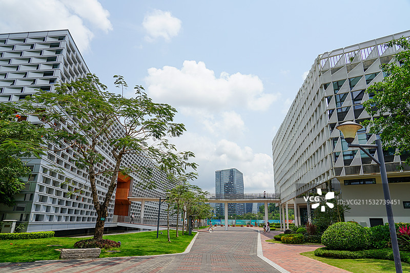 南科大行政楼和图书馆图片素材