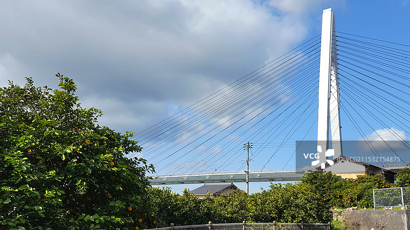 日本广岛县尾道市，岛波海道因岛段，濑户内海的桔园和生口桥图片素材