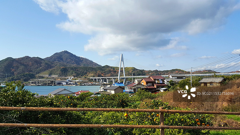 日本广岛县尾道市，岛波海道因岛段，濑户内海的桔园和生口桥图片素材