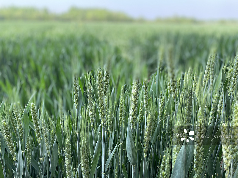 看的是世界，风景即心情图片素材