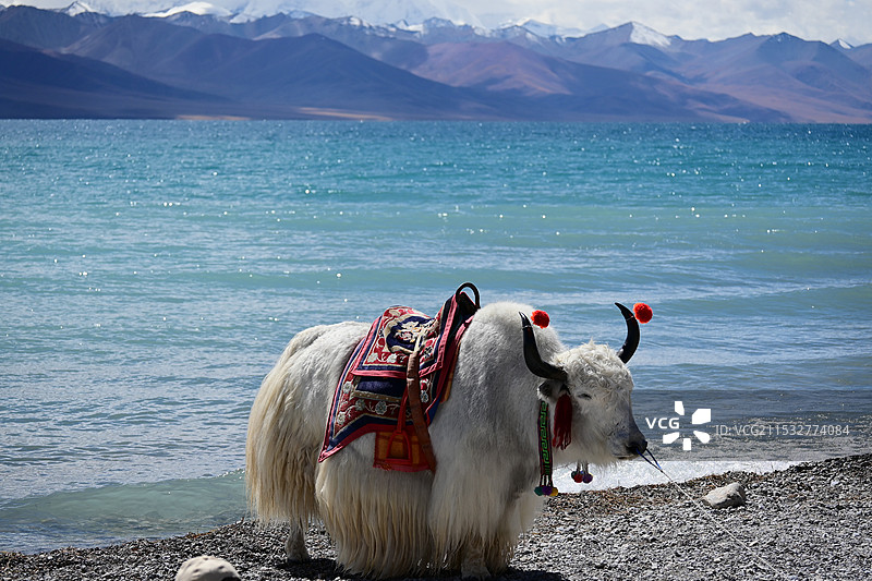 纳木措图片素材