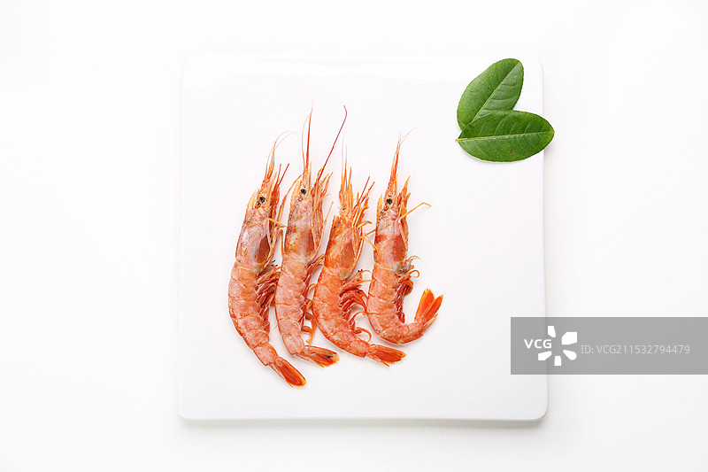 阿根廷红虾图片素材