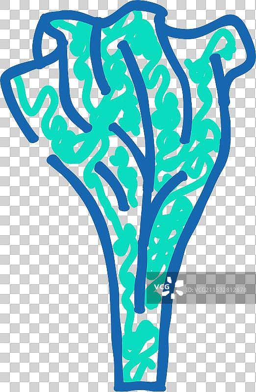 生菜健康食品图标涂鸦图片素材