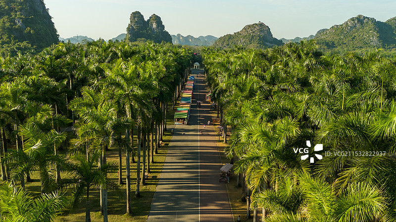 南宁花花大世界景区图片素材