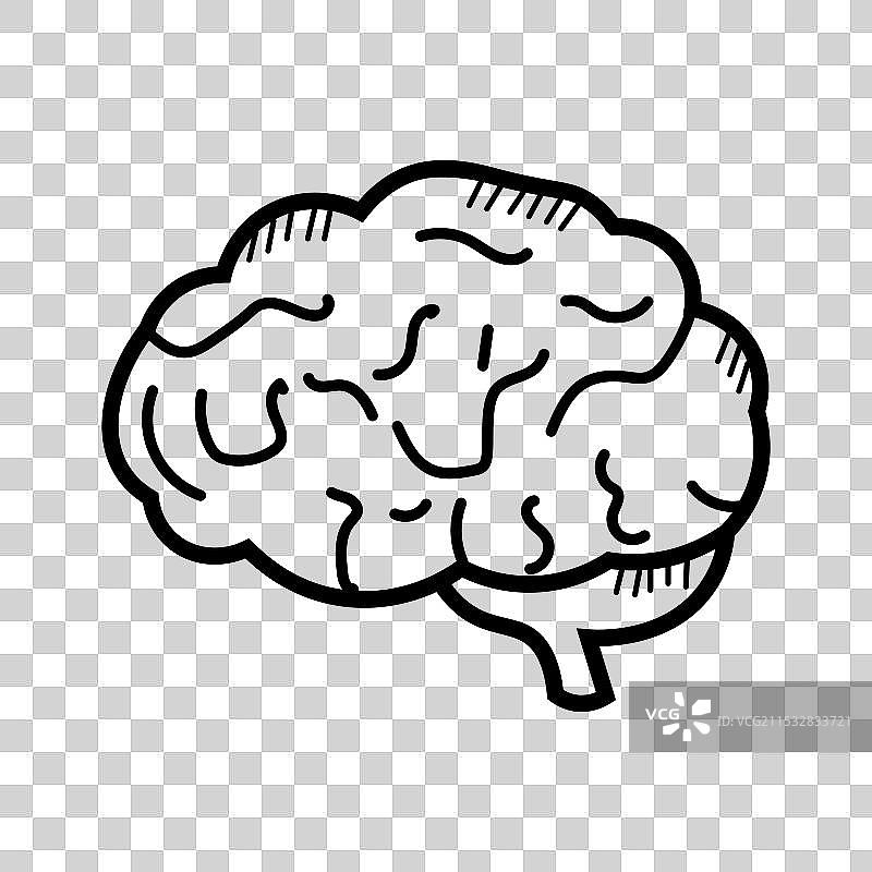 大脑图片素材