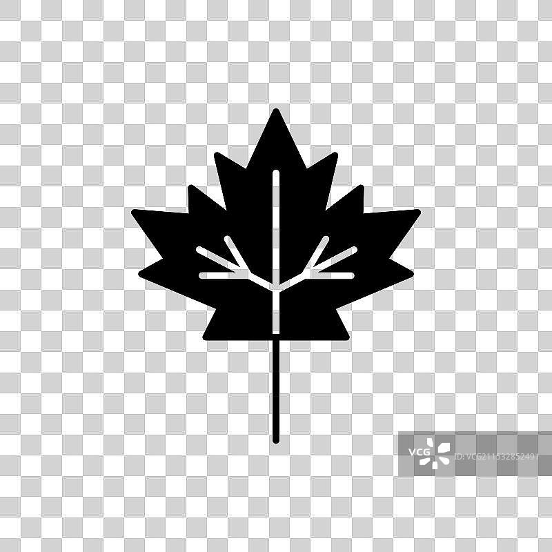白色背景上的枫叶图标图片素材