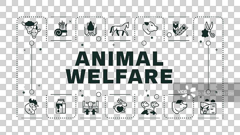 动物福利黄色词汇概念图片素材