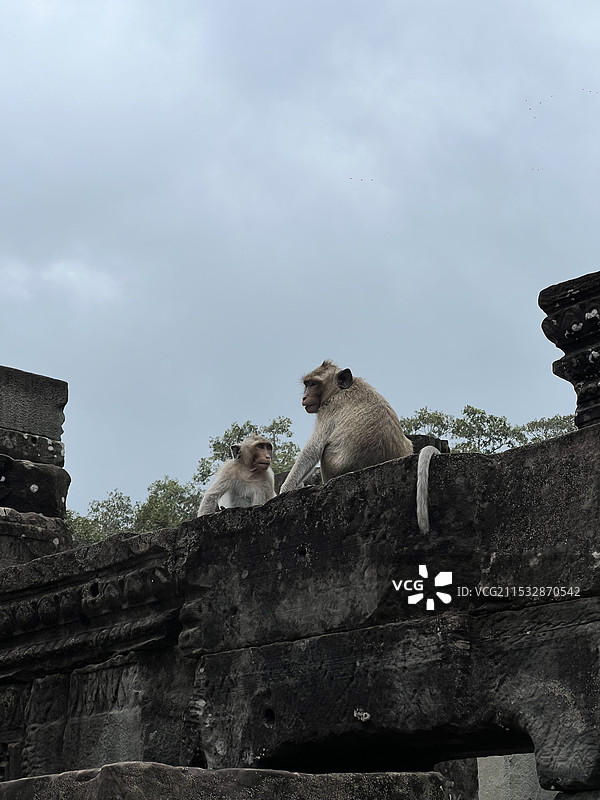 城市碎片记忆：阿拉斯加，吴哥窟，宿务，三亚，南通，泰州，武汉，江陵，胡志明市，上海，温哥华图片素材
