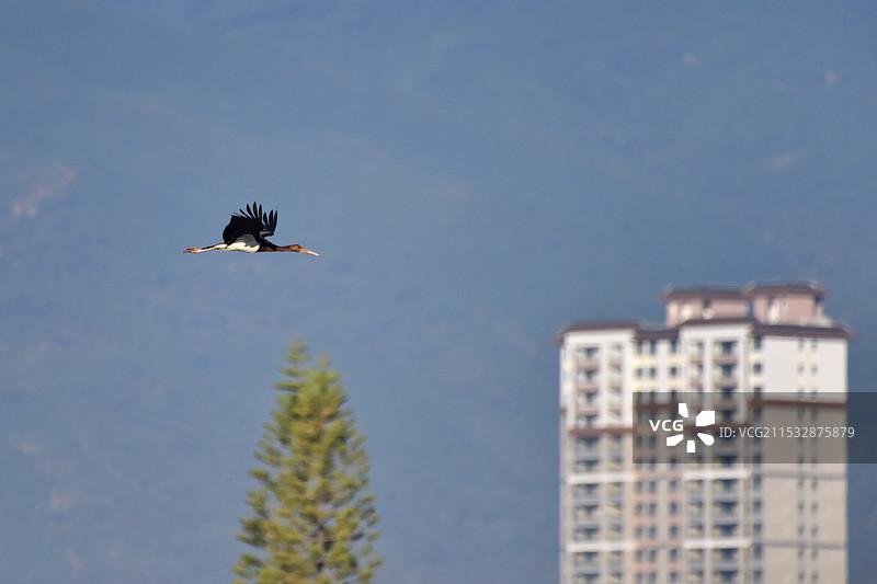 《人间孤旅》图片素材