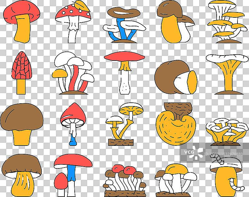 蘑菇、蔬菜和真菌图标集图片素材