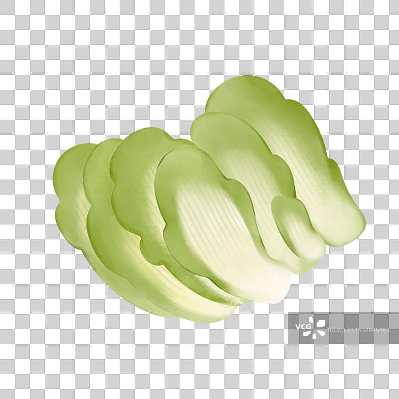 火锅配菜娃娃菜图片素材