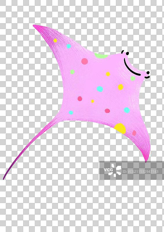 鳐鱼插画图片素材