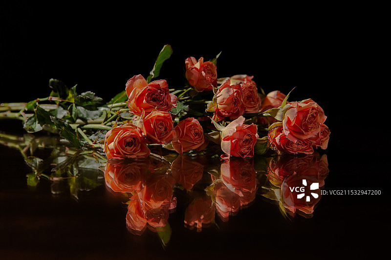 桌上的玫瑰花图片素材