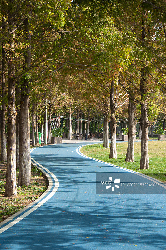 公园里散步的步道小路图片素材