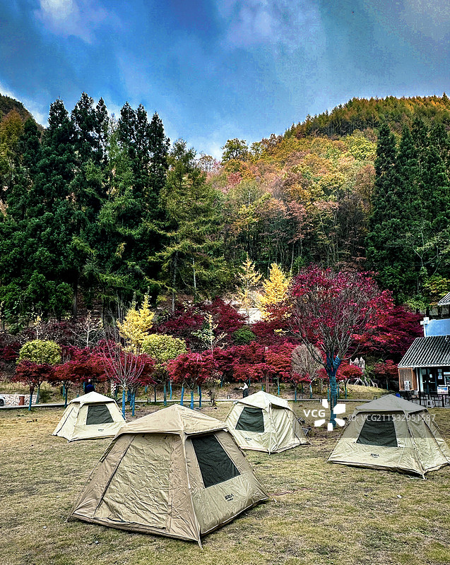 《露营地》图片素材