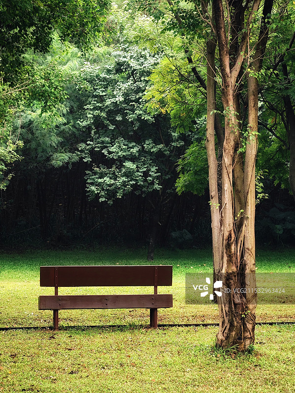 公园一角图片素材