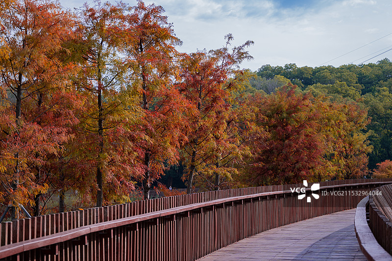 深圳市宝安区九围湿地公园图片素材