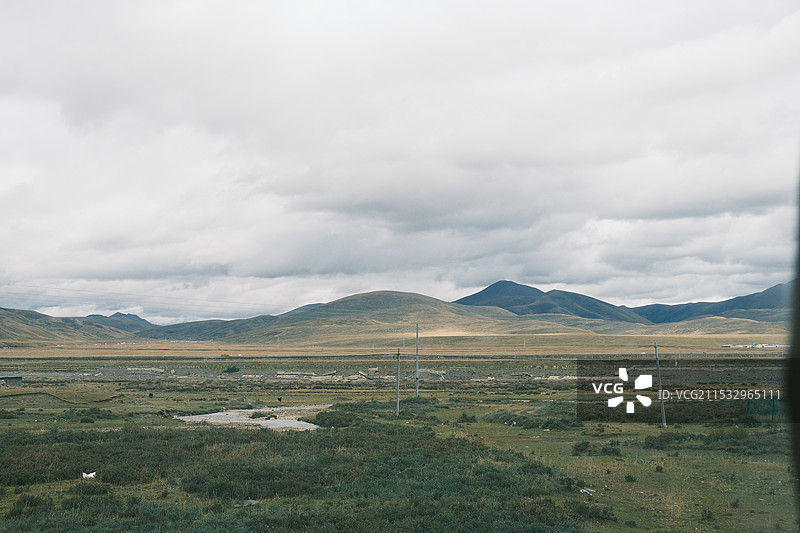 金马草原图片素材