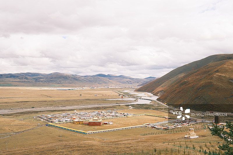 金马草原图片素材