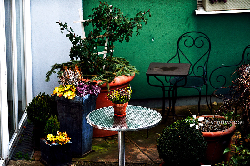 门口的小花园图片素材