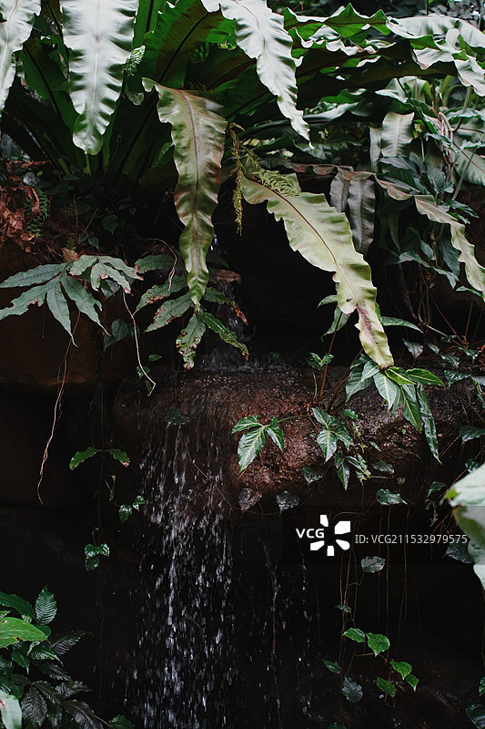 植物园图片素材