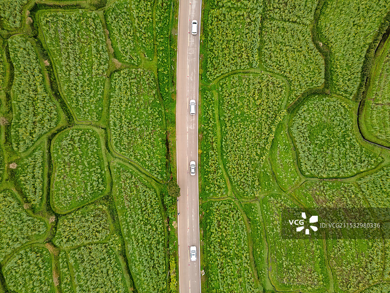 安徽江岭油菜花山谷梯田白墙徽派建筑群航拍图片素材