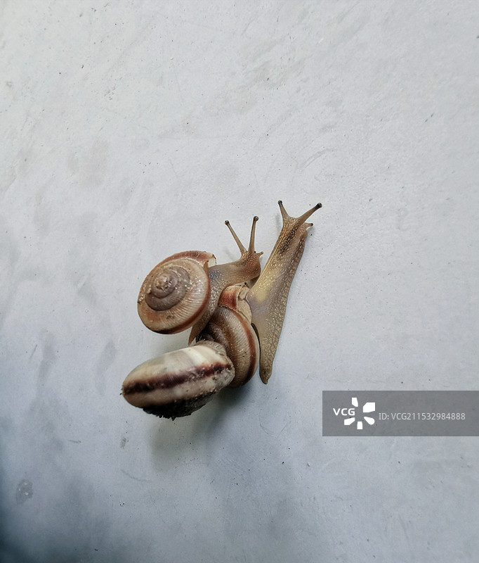 背一个，带一个图片素材