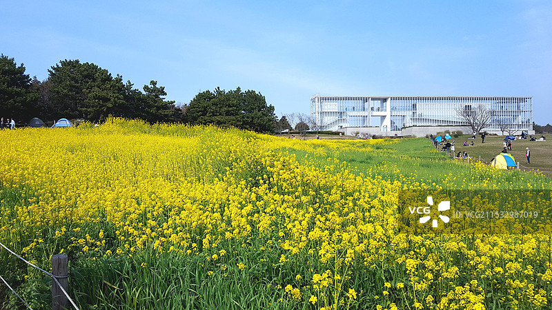 日本东京都江户川区，初春，葛西临海公园图片素材