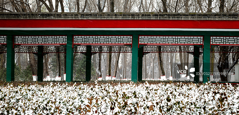 西宁人民公园2024第一场雪图片素材