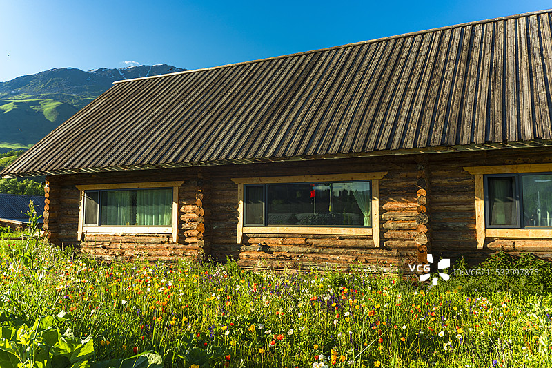 新疆禾木村 绿树环绕的宁静家园图片素材