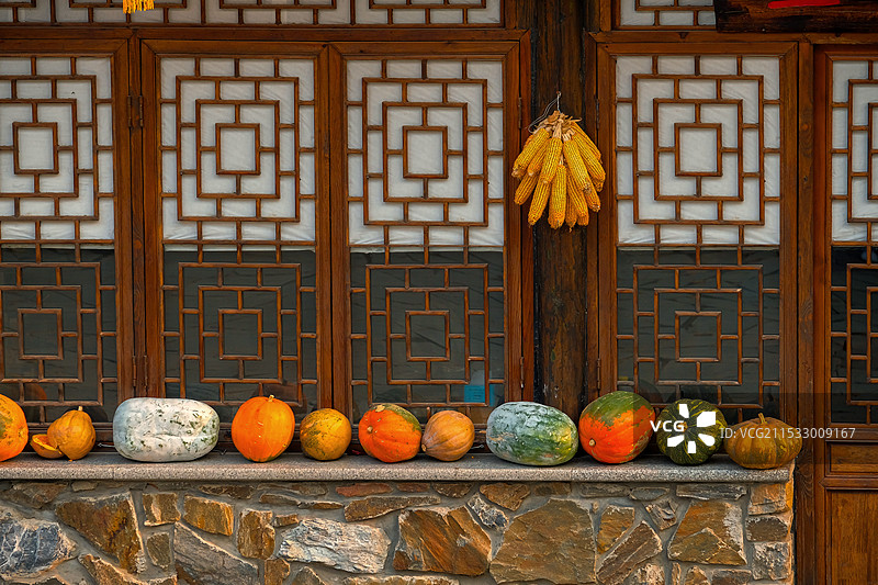 秋天的果实图片素材