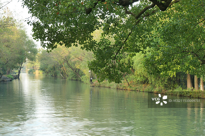 杭州西溪国家湿地公园 深潭口，秋天十一月风光图片素材