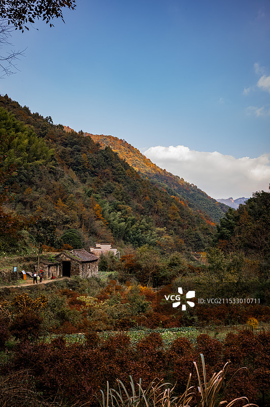 四明山的五彩秋天景色图片素材