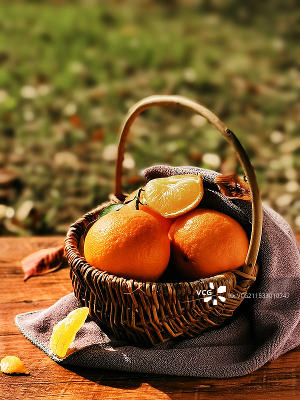 爱媛橙图片素材