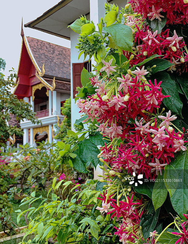 双龙寺图片素材