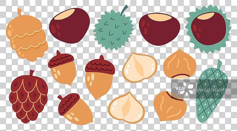 秋季舒适设计元素——栗子套装图片素材