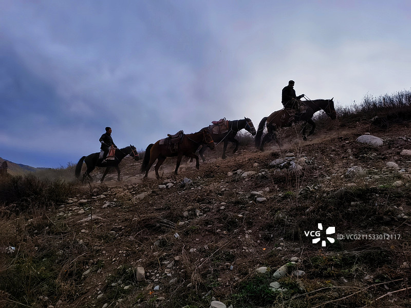 早晨的牧马人图片素材