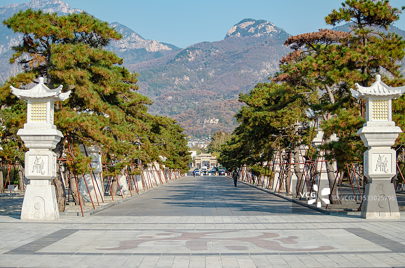 中国山东泰安著名景点泰山旅游风景区，岱庙岱北广场的步行道路和两侧的树木，户外白昼无人图像摄影图片素材