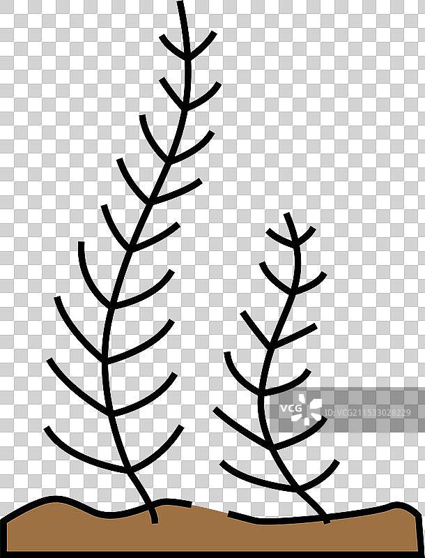 海藻图标：海带（Caulerpa taxifolia）彩色设计图片素材