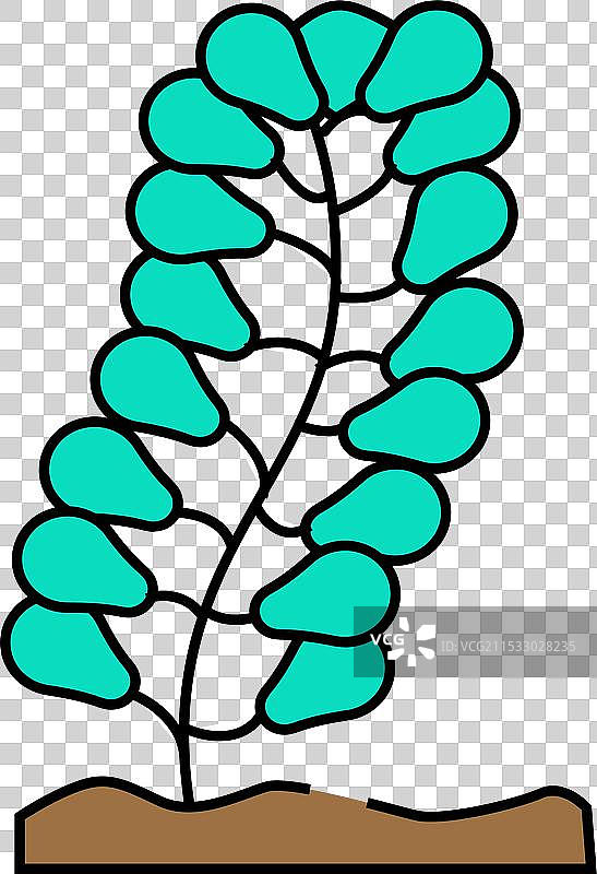 海藻图标：圆叶海带，彩色设计图片素材