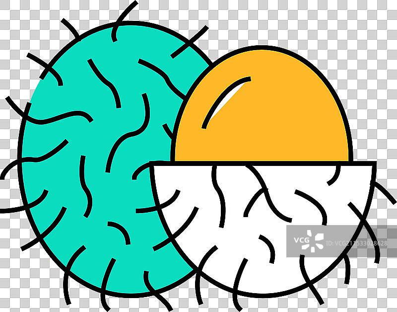 红毛丹水果图标颜色图片素材