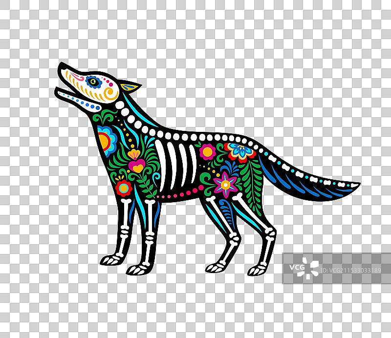 亡灵节墨西哥土狼动物骷髅纹身图片素材