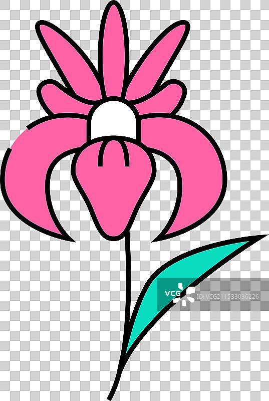 鸢尾花图标颜色图片素材