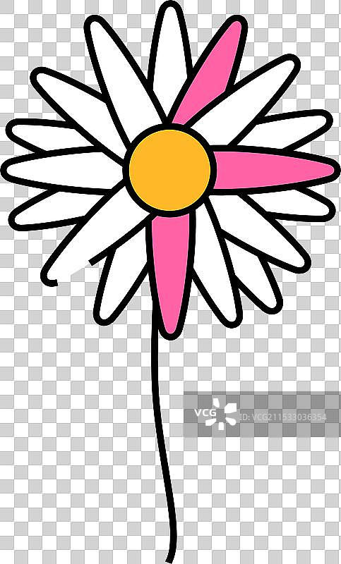 雏菊花朵图标颜色图片素材