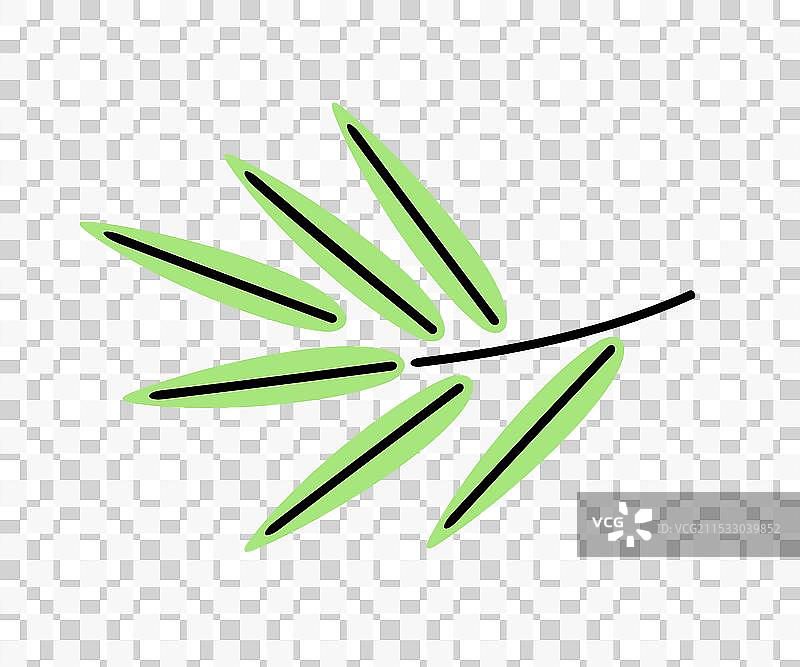 竹子、竹枝和竹叶图片素材