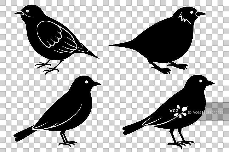 云雀鸟剪影图片素材