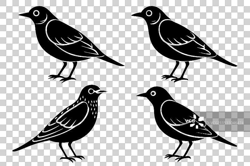 云雀鸟剪影图片素材