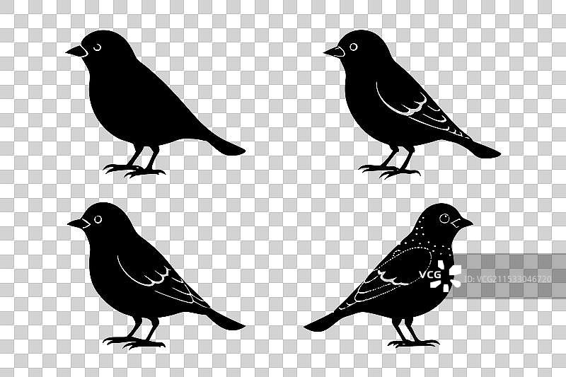 云雀鸟剪影图片素材