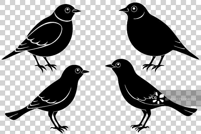 云雀鸟剪影图片素材